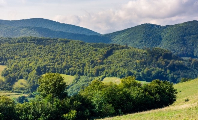 apia-primeste-cereri-de-finantare-pentru-schema-de-ajutor-de-stat-silvo-mediu-si-clima-s20868